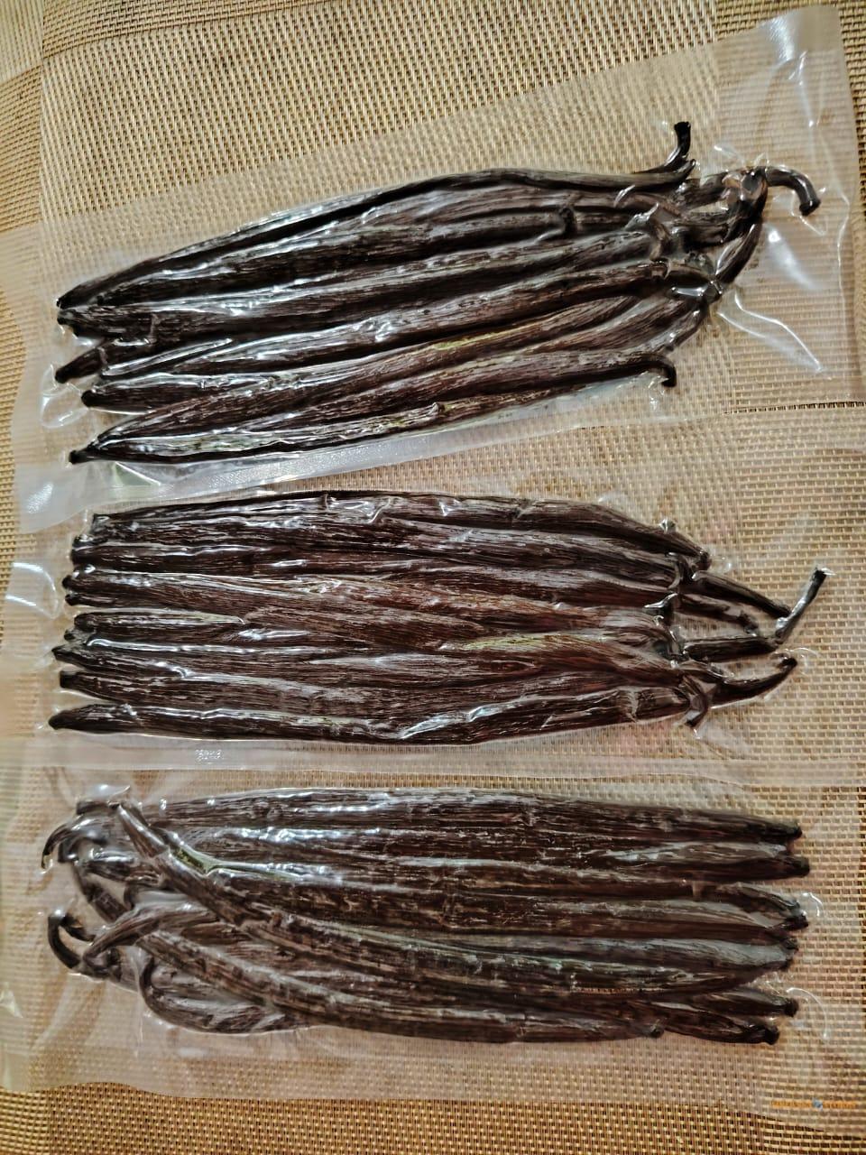 Organic Pure Vanilla Beans Powder | Bulk Exporter 100% Pure A Grade