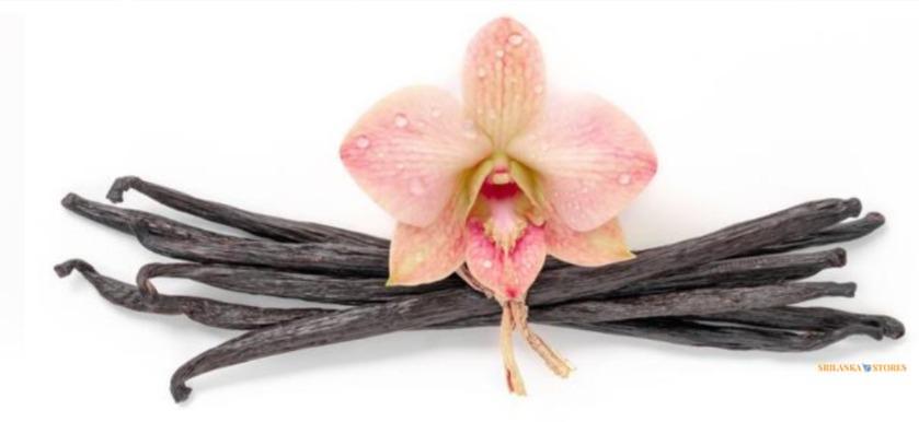 Ugandan Planifolia Vanilla Beans Grade B - FITNCLEAN VANILLA